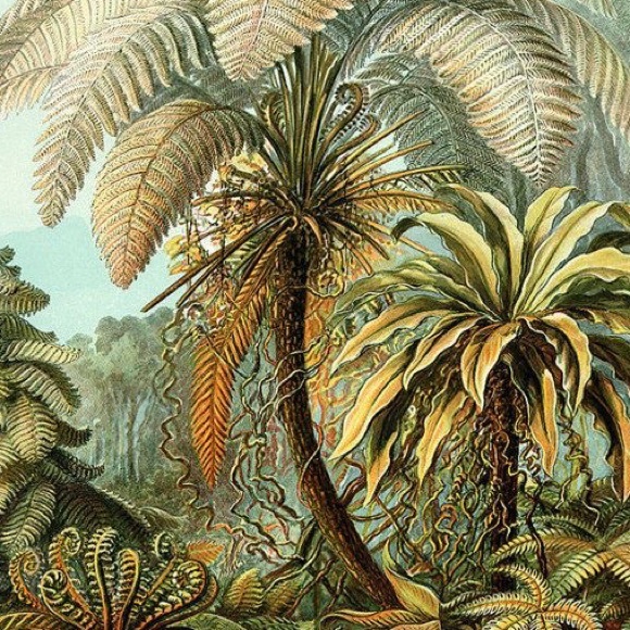 Meet your Posher, Courtney - Picture 3 of 5